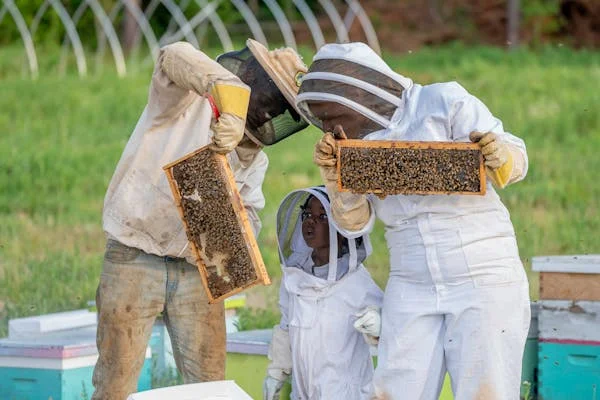 Kate Middleton Beekeeping Hobby